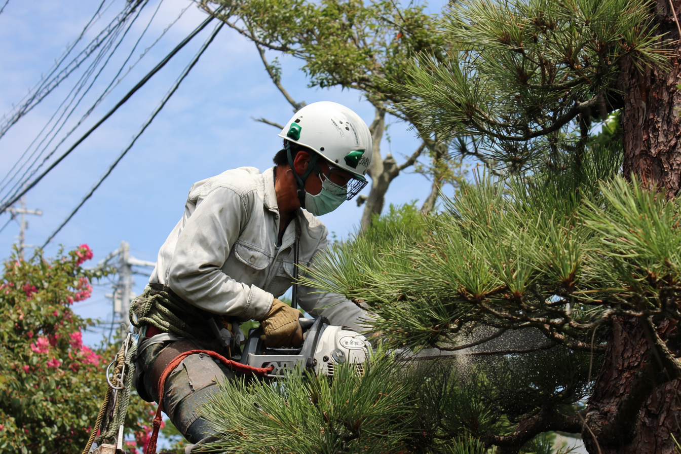 伐採・草刈り作業風景2
