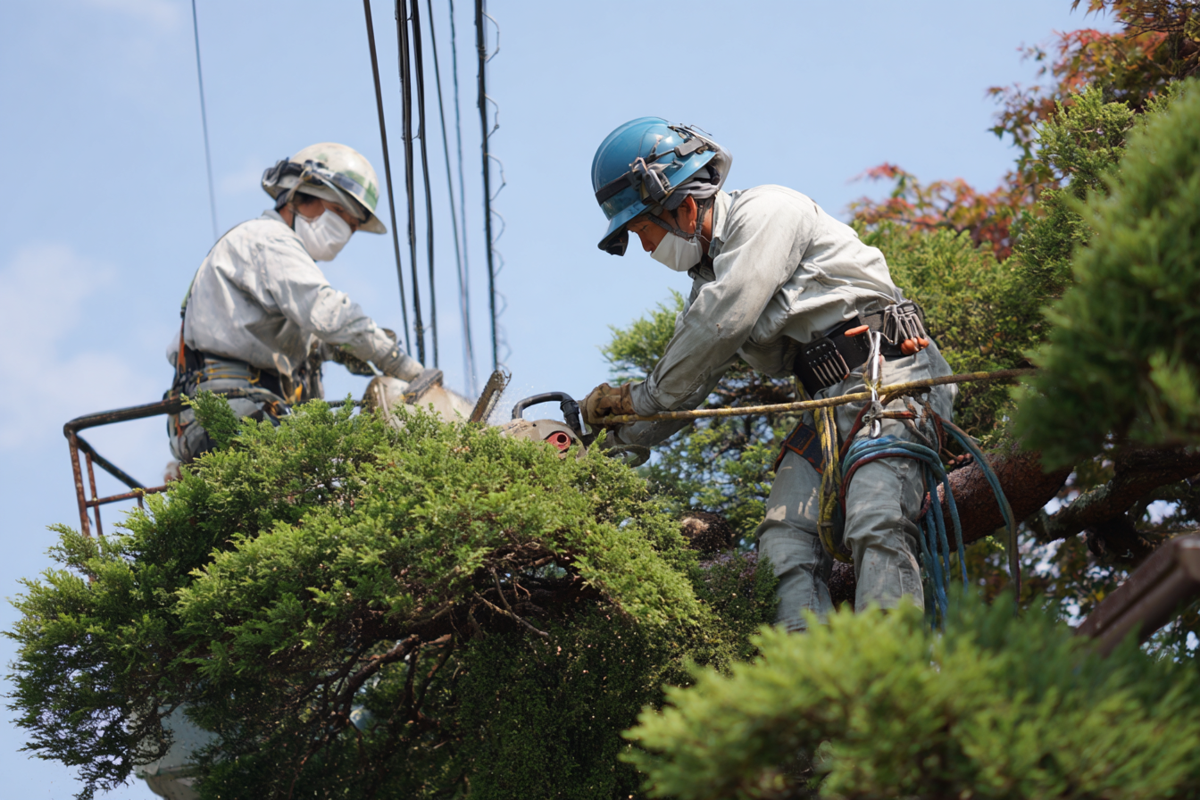 伐採・草刈り作業風景3